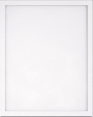 Skinny White-Sample Door